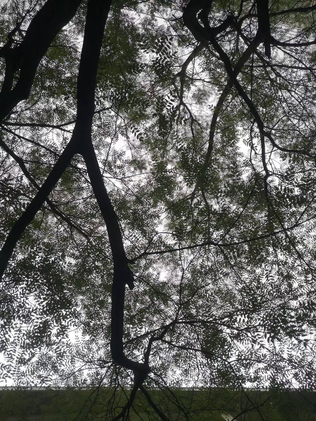 Ripples in Sky